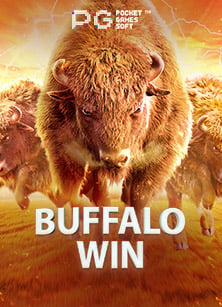 วิธีเล่นอย่างชาญฉลาดกับการสมัครสมาชิกเว็บไซต์ sbobbet